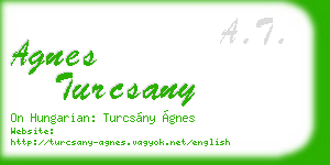 agnes turcsany business card