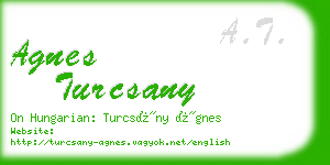 agnes turcsany business card